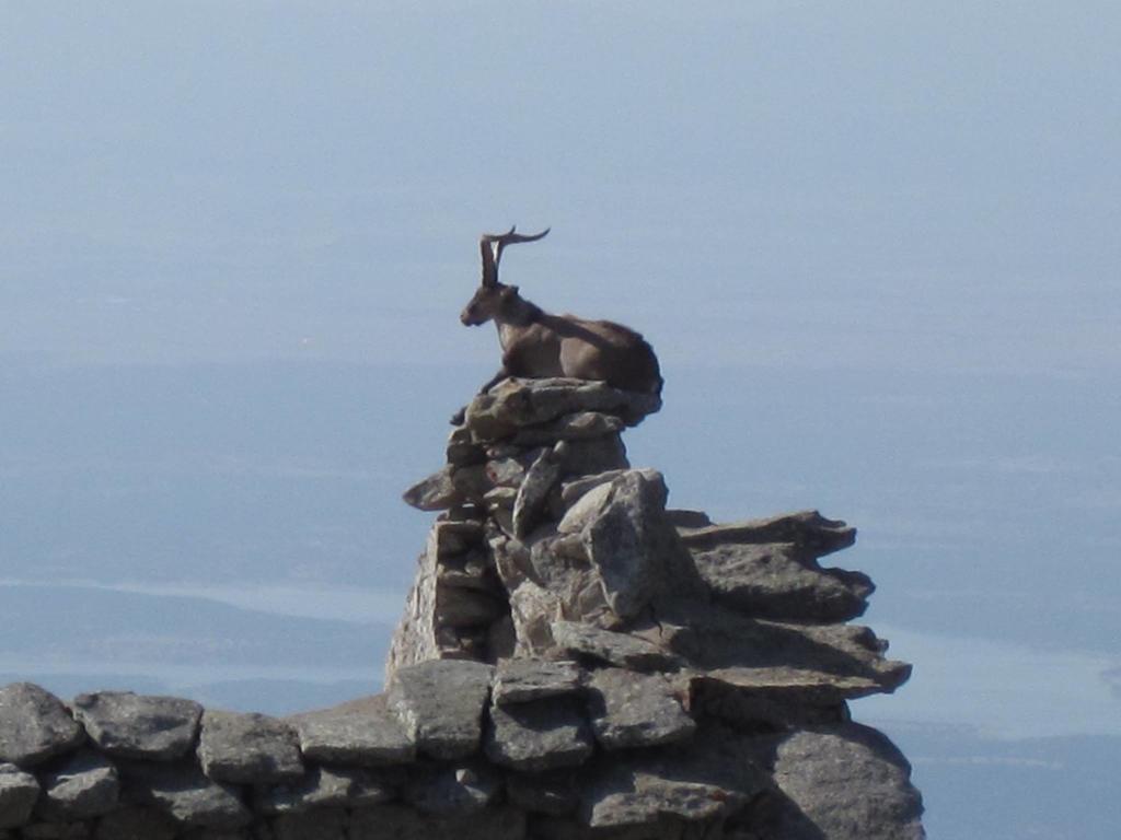 La Pasailla De Gredos Vendégház Navacepeda de Tormes Kültér fotó