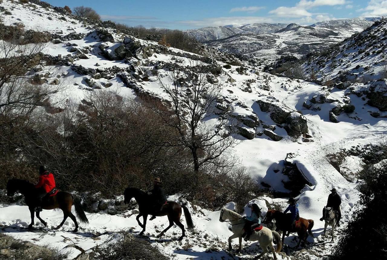 La Pasailla De Gredos Vendégház Navacepeda de Tormes Kültér fotó